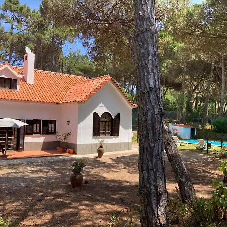Moradia No Pinhal Com Piscina - Espaco E Privacidade As Suas Ferias! Sintra