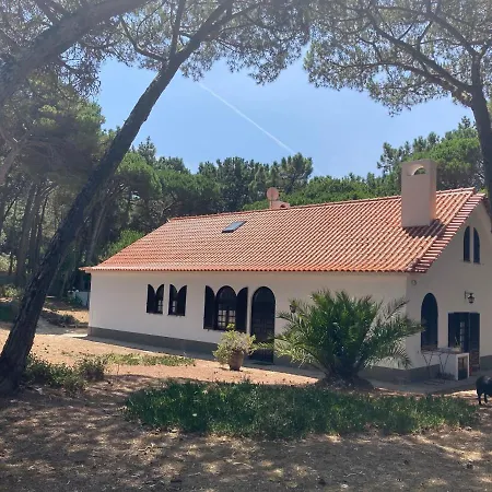 Dom wakacyjny Moradia No Pinhal Com Piscina - Espaco E Privacidade As Suas Ferias! *