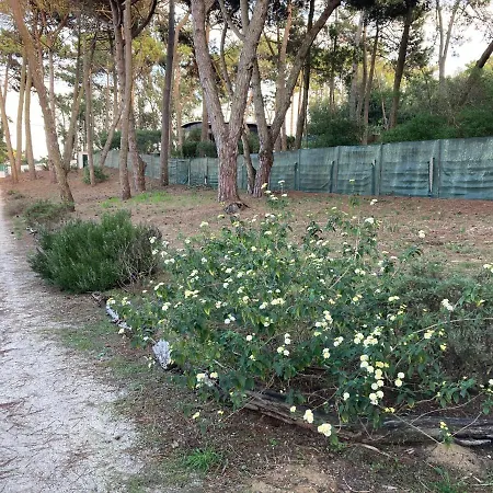 Moradia No Pinhal Com Piscina - Espaco E Privacidade As Suas Ferias! Vakantiehuis Sintra