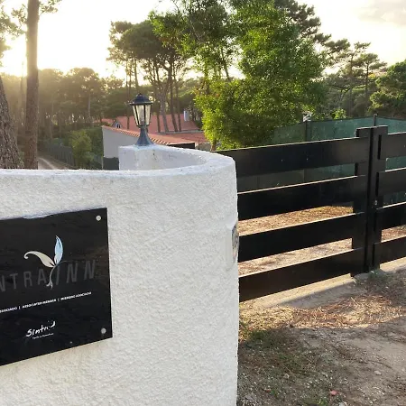 Moradia No Pinhal Com Piscina - Espaço E Privacidade As Suas Férias!