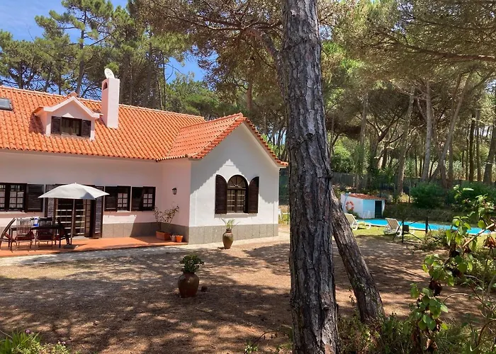 Moradia No Pinhal Com Piscina - Espaco E Privacidade As Suas Ferias! Sintra