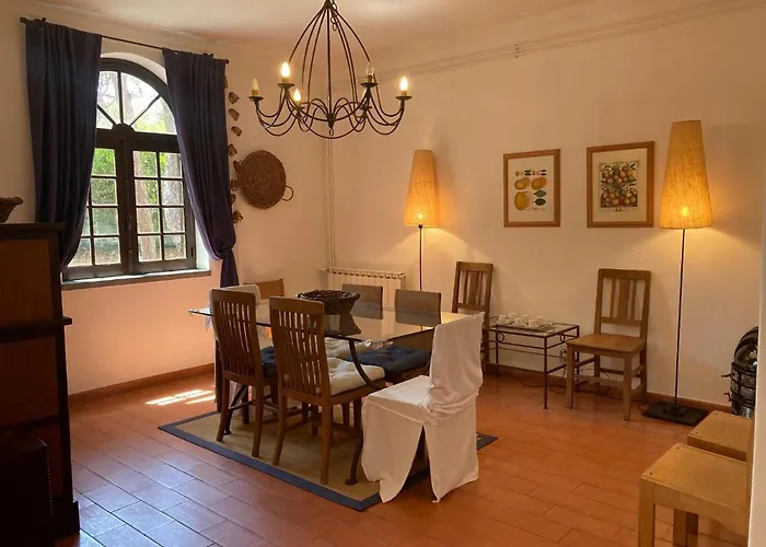 Moradia No Pinhal Com Piscina - Espaco E Privacidade As Suas Ferias! Tatil Evi