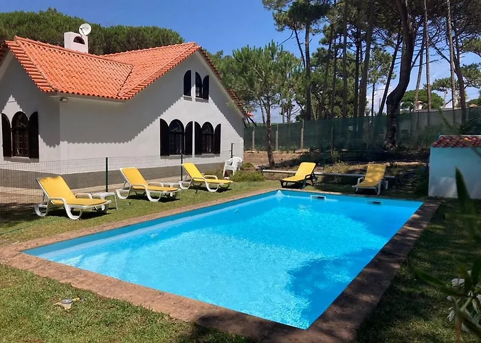 Moradia No Pinhal Com Piscina - Espaco E Privacidade As Suas Ferias! * Sintra