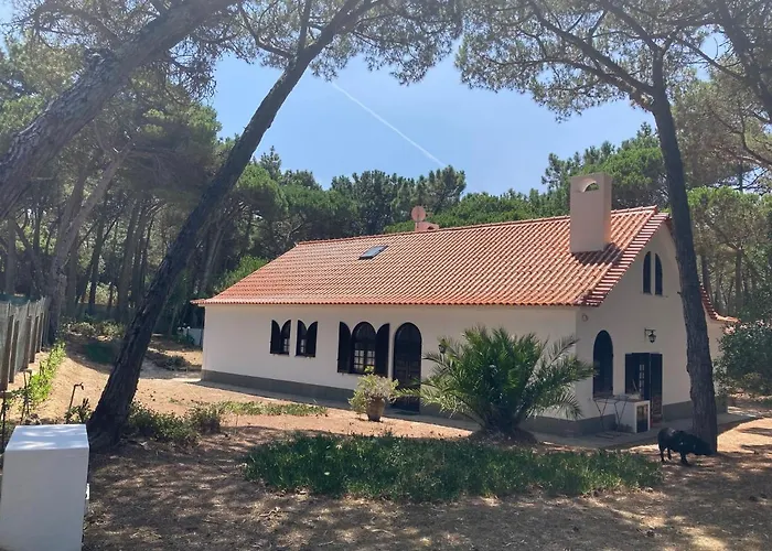 Tatil Evi Moradia No Pinhal Com Piscina - Espaco E Privacidade As Suas Ferias! *