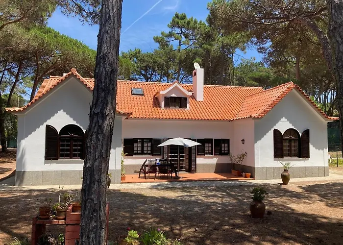 Moradia No Pinhal Com Piscina - Espaco E Privacidade As Suas Ferias! Tatil Evi Sintra
