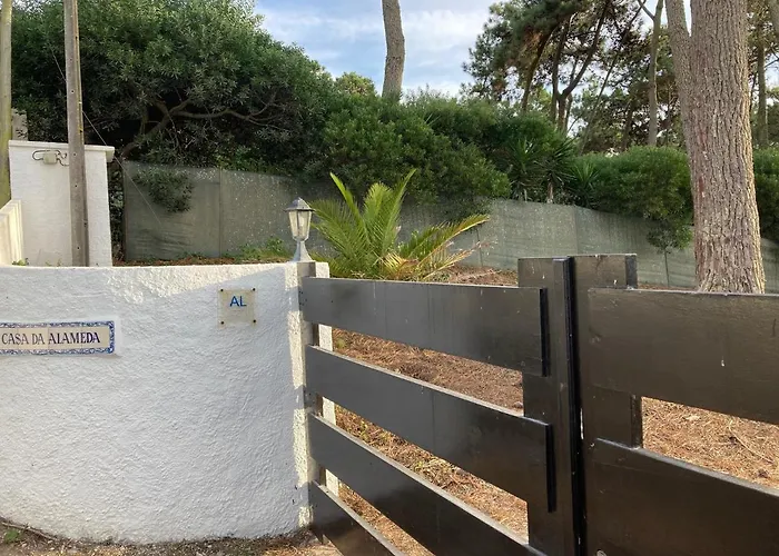 Moradia No Pinhal Com Piscina - Espaco E Privacidade As Suas Ferias! * Sintra
