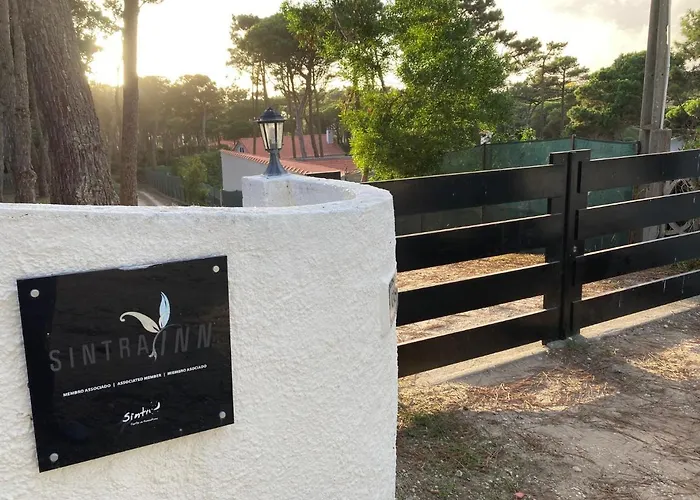 Moradia No Pinhal Com Piscina - Espaco E Privacidade As Suas Ferias!